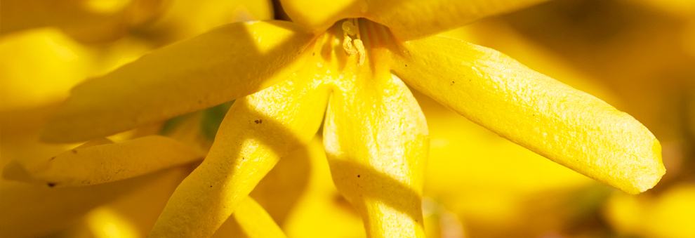 小七手机号在线网页轰炸